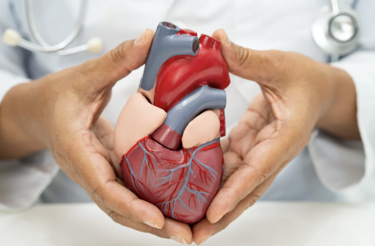 Specialista in Cardiologia